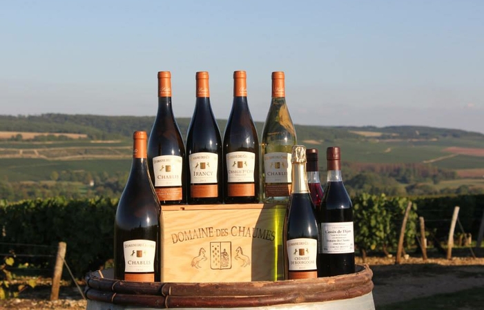 Visit and tastings of the Chablis estate €1.00