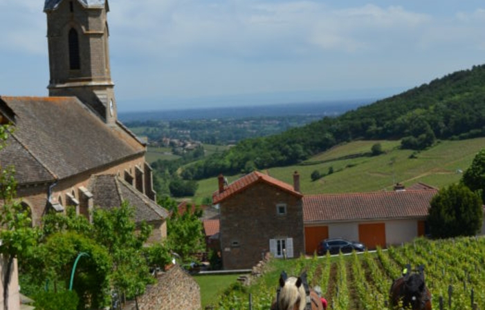 Visit and tastings at Domaine Merlin €1.00