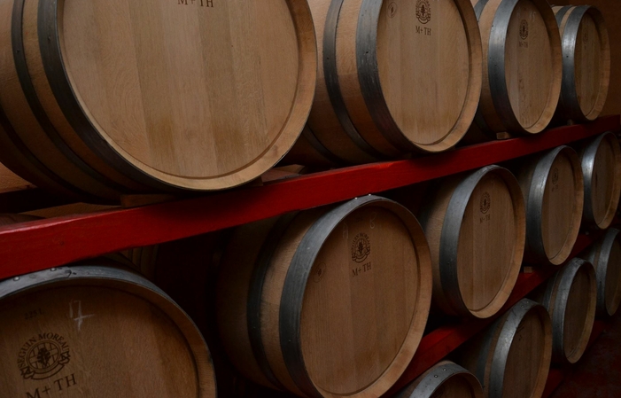 Visit and tastings at Valle Martello €1.00