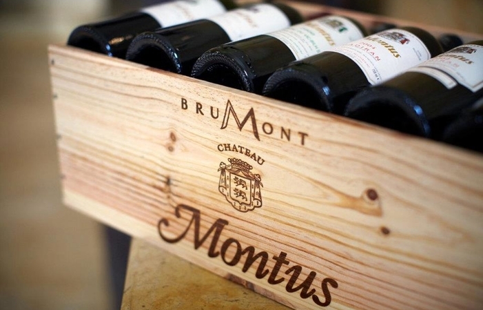 The birth of an icon, Brumont vineyards €20.00