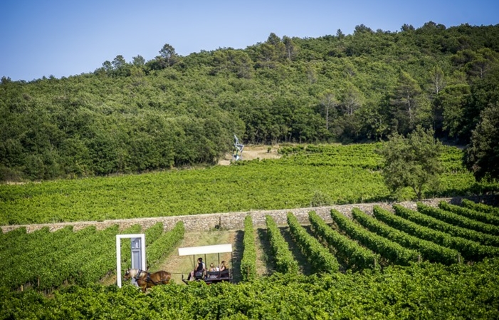 Discovery Wine at Domaine Peyrassol €18.00