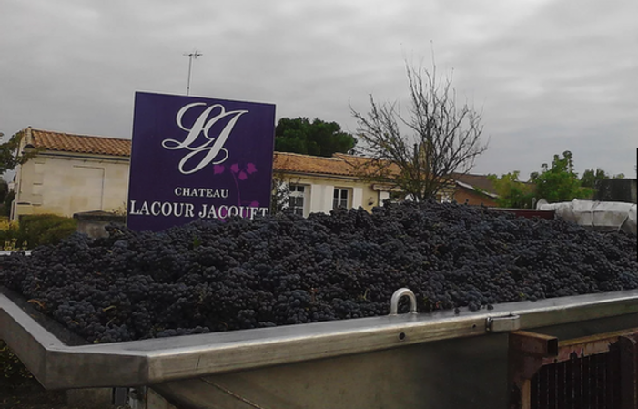 Visit and Tasting at Château Lacour Jacquet €1.00
