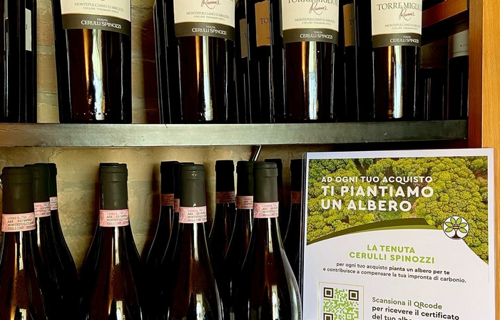 Visit and tastings at Tenuta Cerulli Spinozzi €1.00