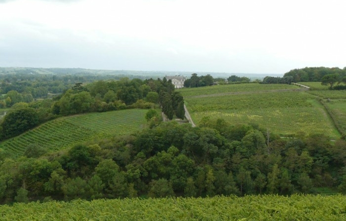 Loire Wine Discovery Day Trip from Paris €195.00