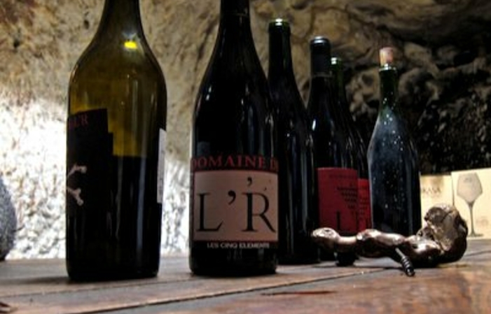 Visit and tastings of the Domaine de l'R estate €1.00