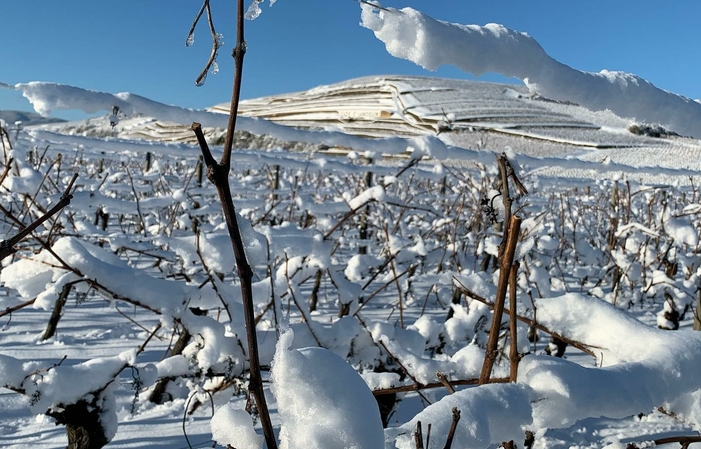 Visit and tastings at the Domaine du Clos St Landelin €1.00