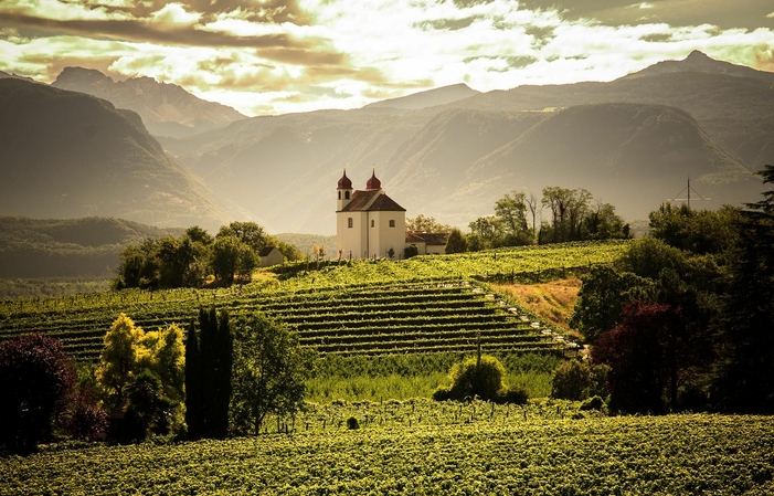 Guided Tour and Tasting (money) €20.00