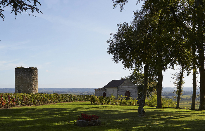 PRIVEE tour and tasting Chateau de Pressac, Saint Emilion Grand Cru Classé €75.00