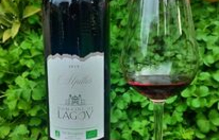 Visit and tastings of the domaine de lagoy €1.00