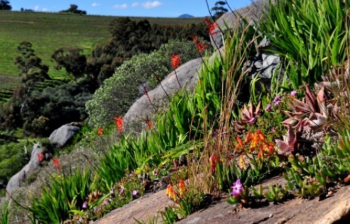 Visit the Mooiplaas Estate €5.00