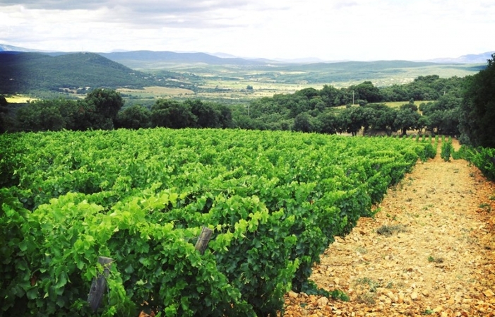 Visit & tasting at Château Bas-d'Aumelas €12.00