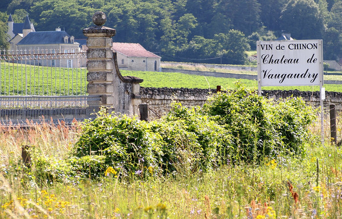 Visit and Tasting at Vaugaudry Castle €1.00