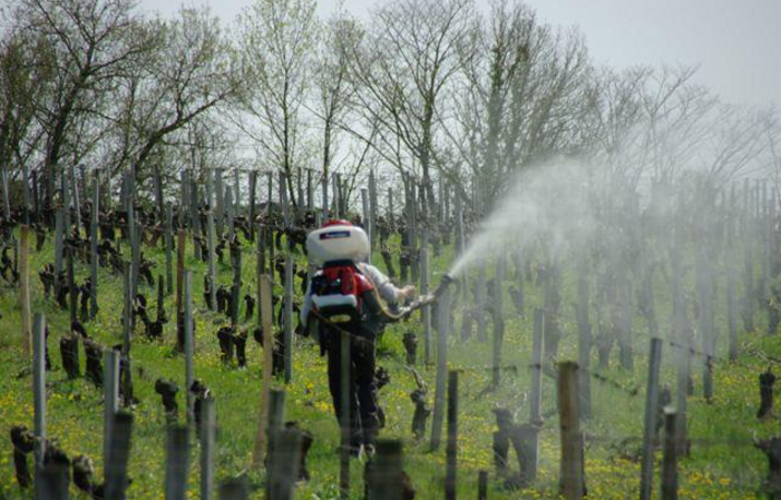 Visit and Tasting at Château Roland La Garde €1.00