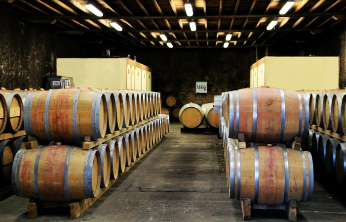 Visit and Tasting at Château Macay €1.00