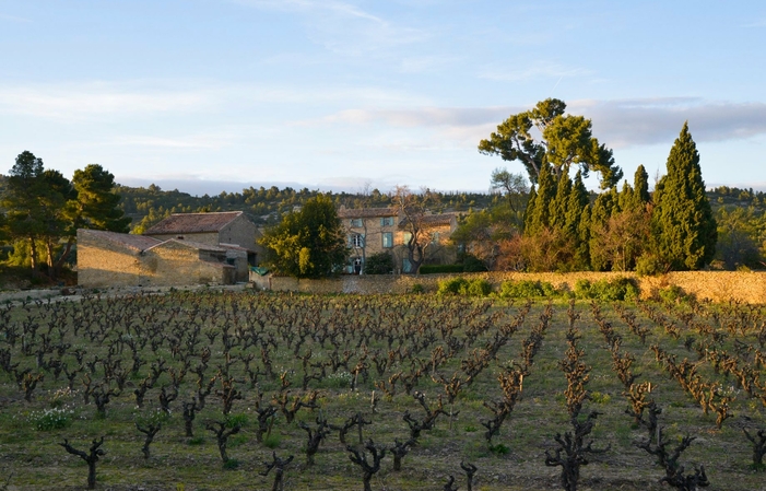 Visit and tastings of the Clos Centeilles estate €1.00