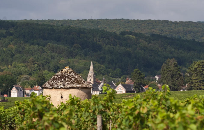 Visit - tasting in Nuits-Saint-Georges €1.00