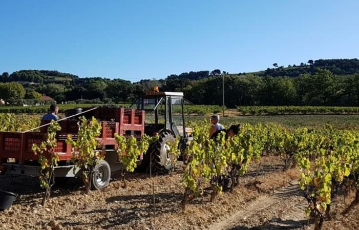 VISIT of DOMAINE RABASSE CHARAVIN €1.00