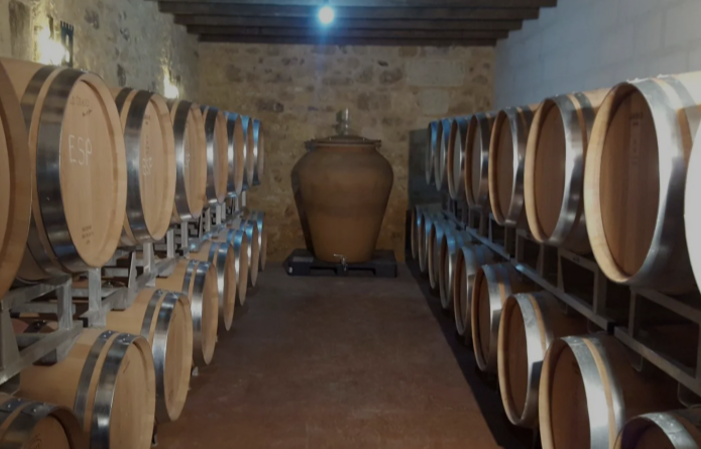 Visit and Tasting at Château Les Tours Seguy €1.00
