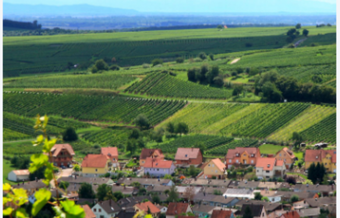 Visit From The House of Champagne Paul DANGIN And Son €1.00