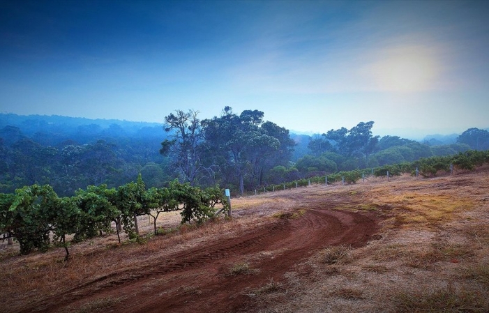 Single Vineyard Tasting Guide €20.00