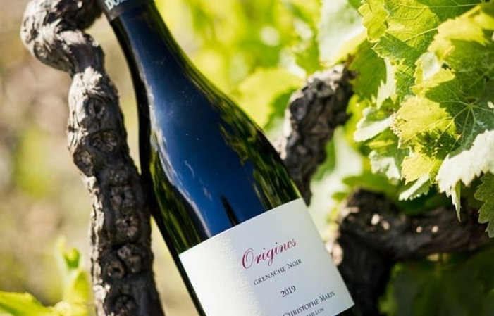 Visit and Tasting DOMAINE CHRISTOPHE MARIN €1.00