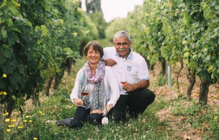 A horse-drawn carriage ride in the vineyards from the Domaine de Noiré €40.00