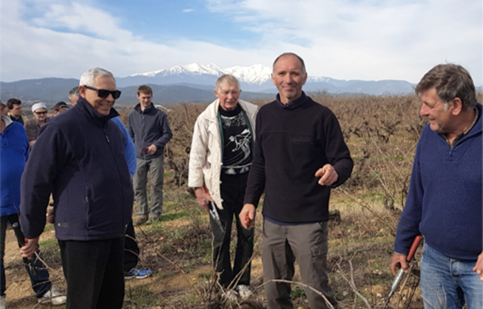 Walk in the vineyard - Vignobles Terrassous €8.00