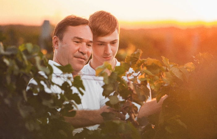 Visit Salcuta Wine €7.00