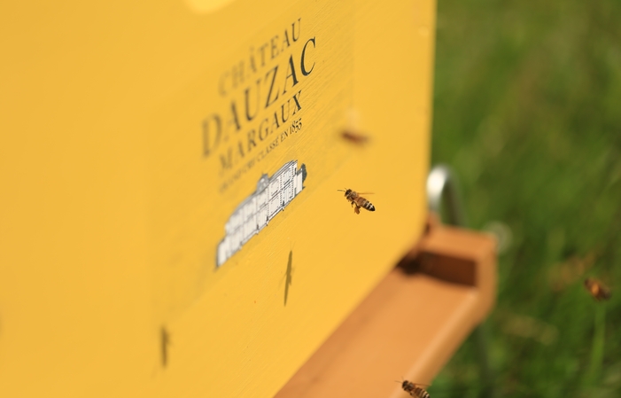 Beekeeper for a day - Château Dauzac €25.00