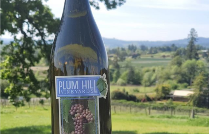 Visit The Plum Hill Vineyards Estate €10.00