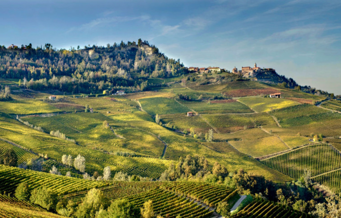 Visit and Tasting at Domaine Roberto Voerzio €1.00