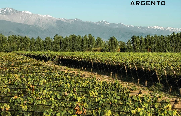 Visit and Tasting - Bodega Argento €1.00