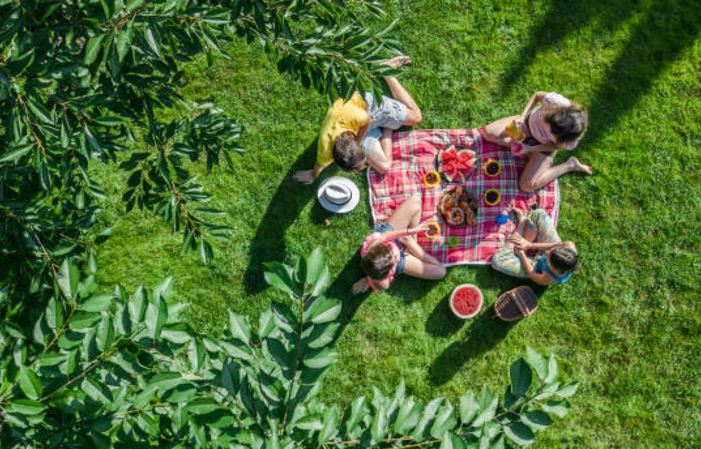 The winegrower's picnic €14.50