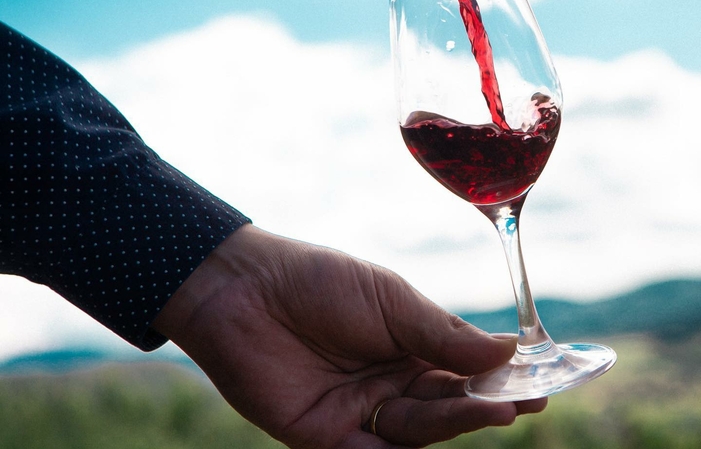 Visit and tasting at the Château de la Greffière €15.00