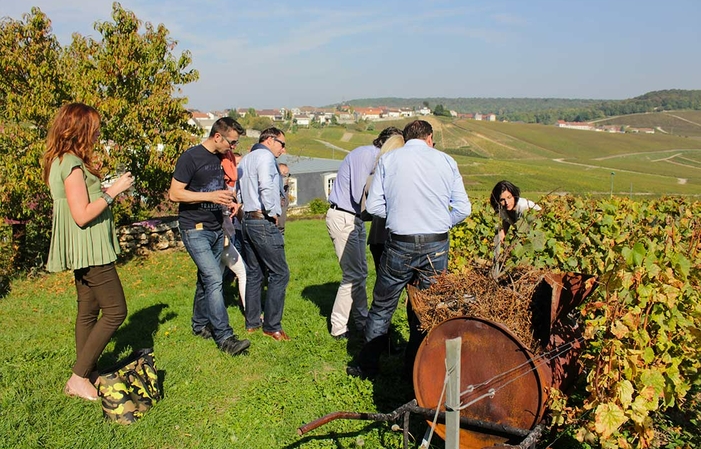 Iconic Tour of Domaine Champagne Voirin-Jumel €25.00