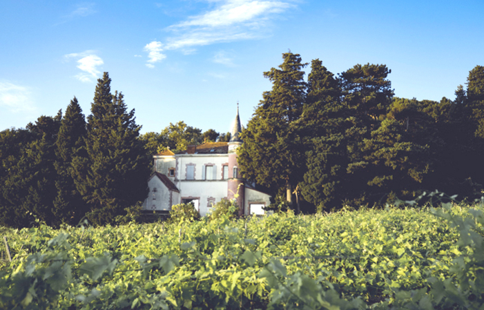 Visit and Tasting at the Château de La Font du Loup €1.00