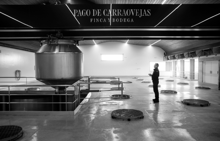 Visit and tasting - Pago de Carraovejas €68.00