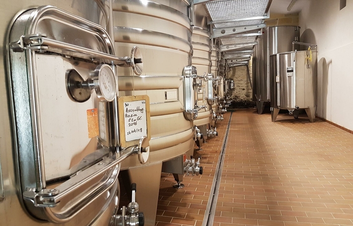 Visit and tastings of the saby vineyard €5.00