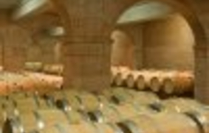 Visit and tastings of Bodega Belasco de Baquedano €1.00