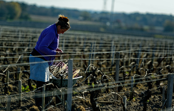 Visit and Tasting at Château Fourcas Dupré €1.00