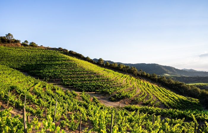 PRIORAT DOQ EARLY RISER BREAKFAST & TASTING €28.00