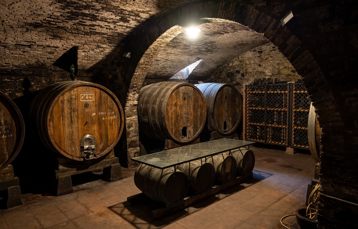 Visit the Fattoria Lavacchio Winery Estate - Resort €1.00