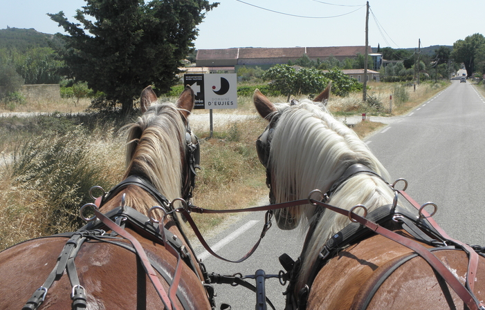Discovery of a vineyard in a carriage €15.00