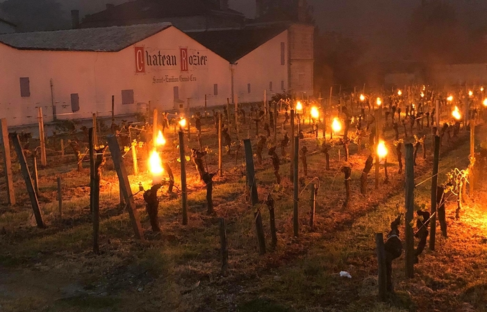 Visit and tastings of the saby vineyard €5.00