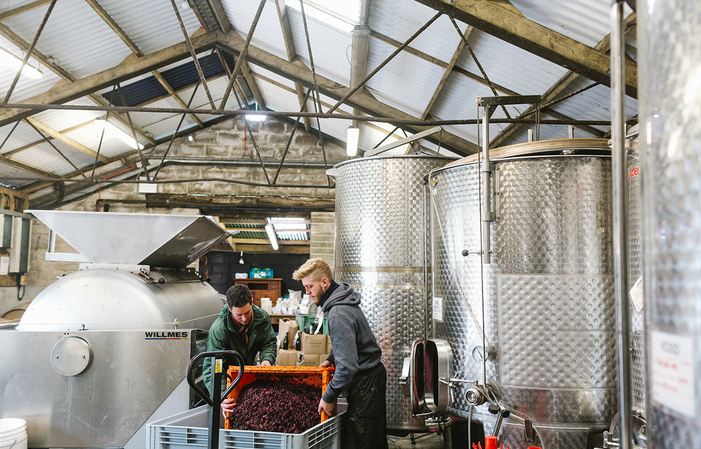 Visit and Tasting at Knightor Estate €16.65