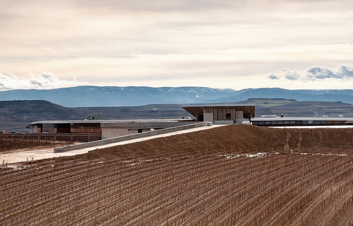 Visit and Tasting - Bodegas Beronia €10.00