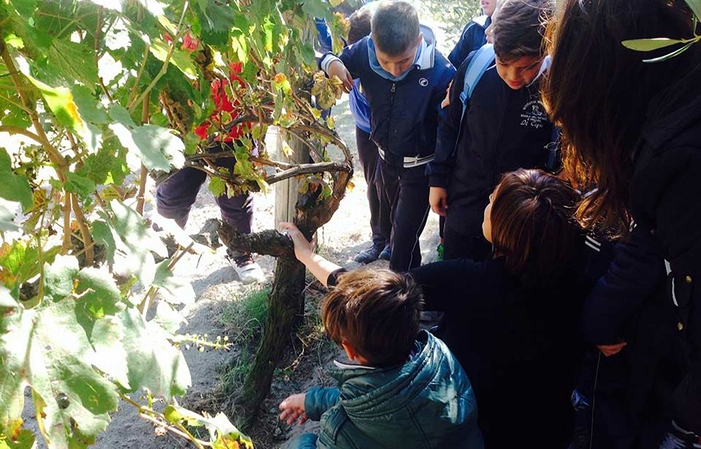 Cantina Astroni tour with tasting €20.00