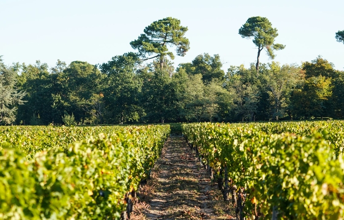 Discovery tour of the Château de Sales €13.00