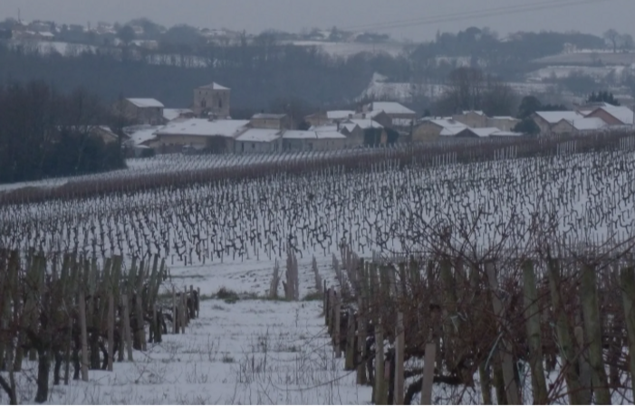 Visit and Tasting at Château Les Tours Seguy €1.00