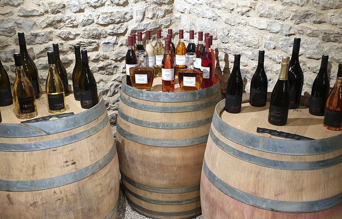 Visit and tastings of the Chablis estate €1.00